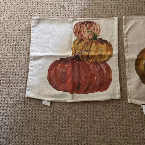 Pottery Barn Autumn Harvest Pillow Covers set of two. - Picture 3 of 5